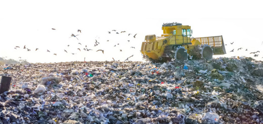 C’è un salvataggio automatico di questo articolo che è più recente della versione sottostante. Visualizza il salvataggio automatico