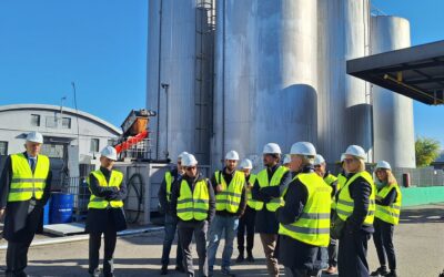 I cantieri della transizione ecologica