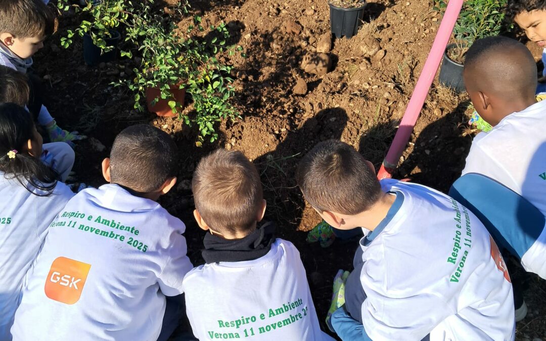 Respiro e ambiente: un nuovo parco al posto del cemento nel quartiere Borgo Roma a Verona
