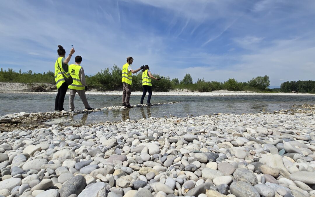 Riparte la “caccia” di inquinanti sui fiumi: legambiente veneto apre la sesta edizione di “operazione fiumi”