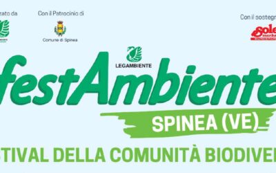 Festambiente Spinea (VE)