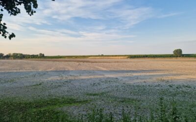 Fiume Po in secca, per Legambiente servono interventi strutturali e su scala sovraregionale