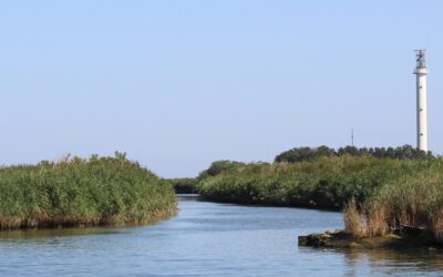FIUME PO, NAVIGARE IL CAMBIAMENTO